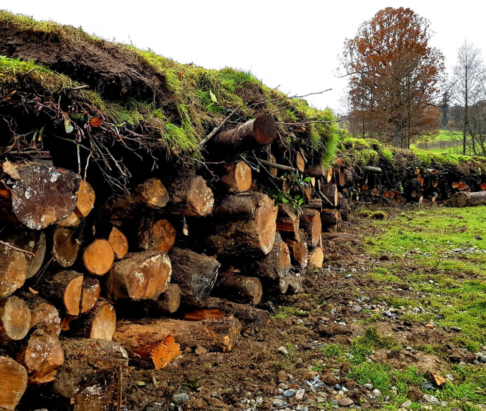 River Bewl Restoration