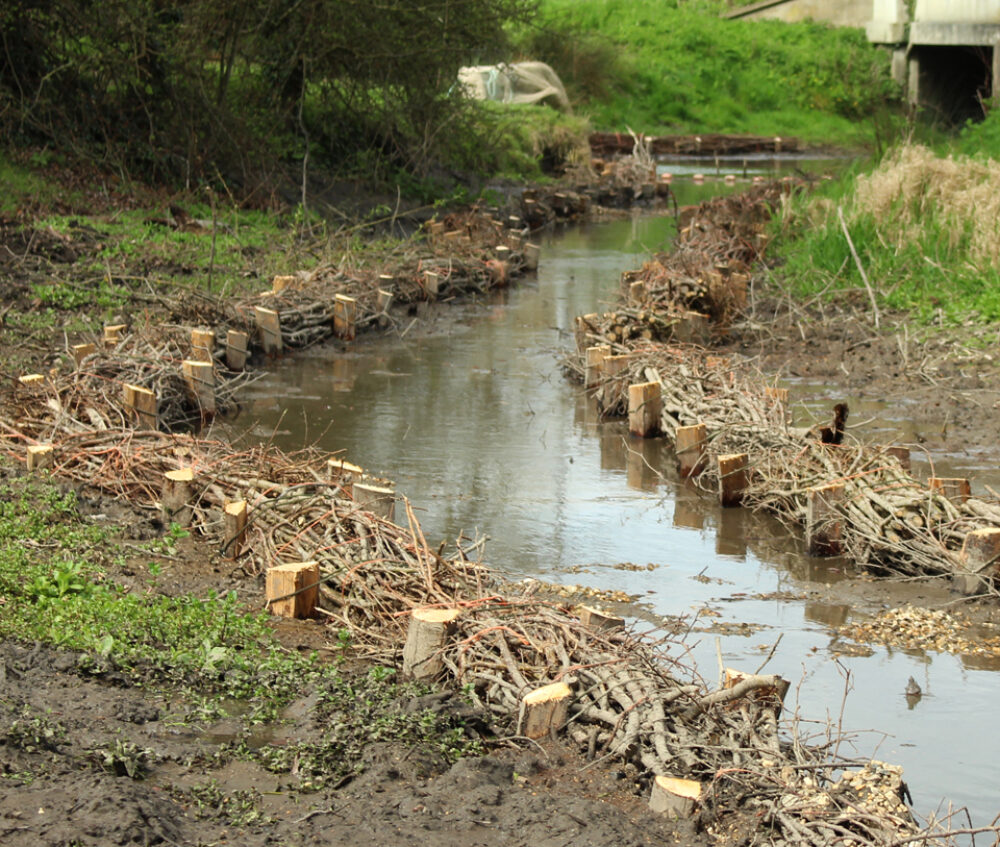 Erosion Protection example