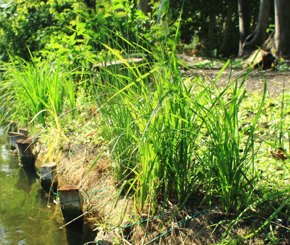 Erosion Protection banner