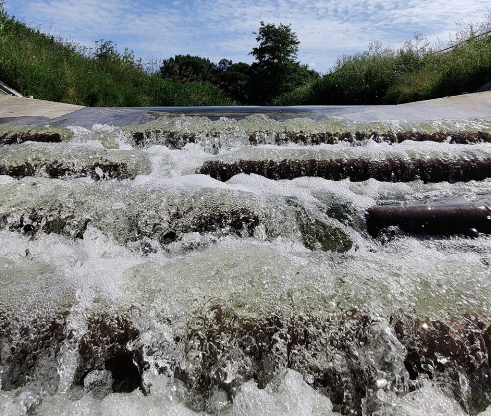 Fish Passage