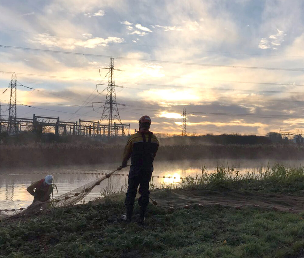 Five Rivers’ well-trained team during a fish rescue