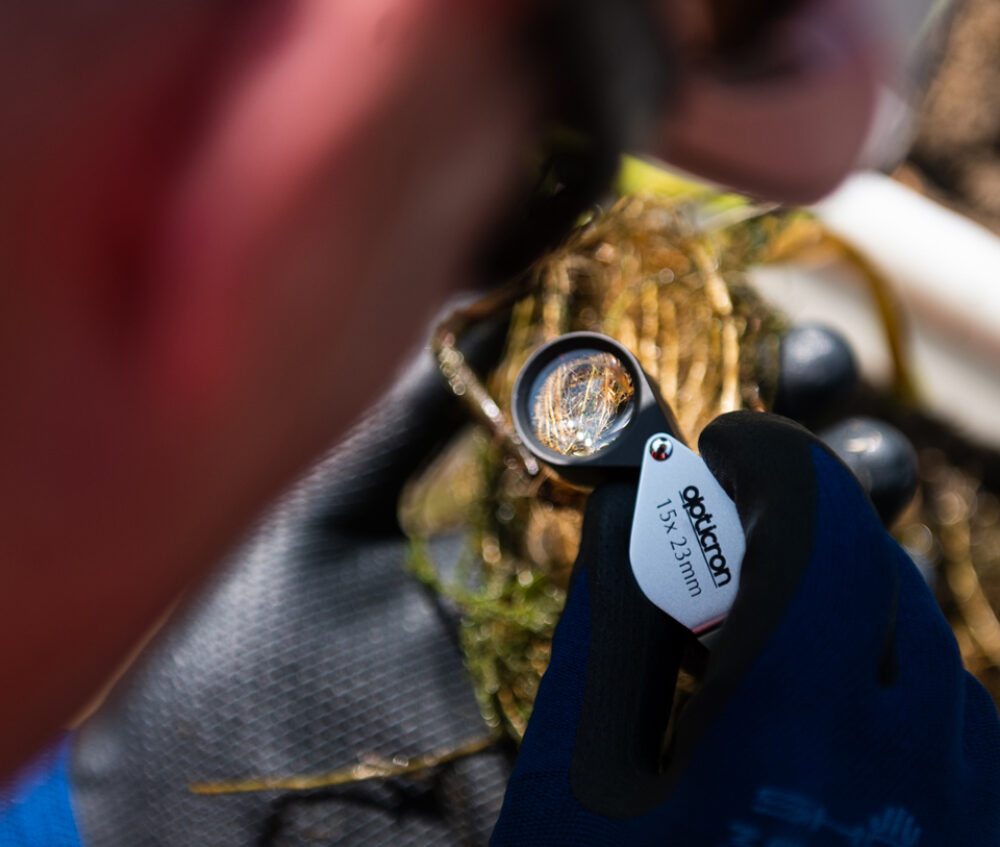 A member of FiveRivers' team during an invasive species survey