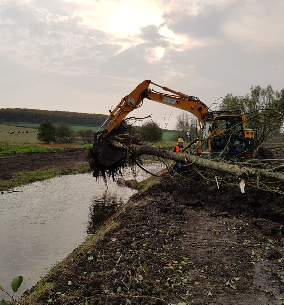 River restoration