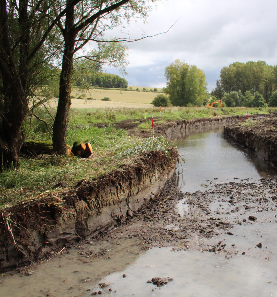 River restoration project