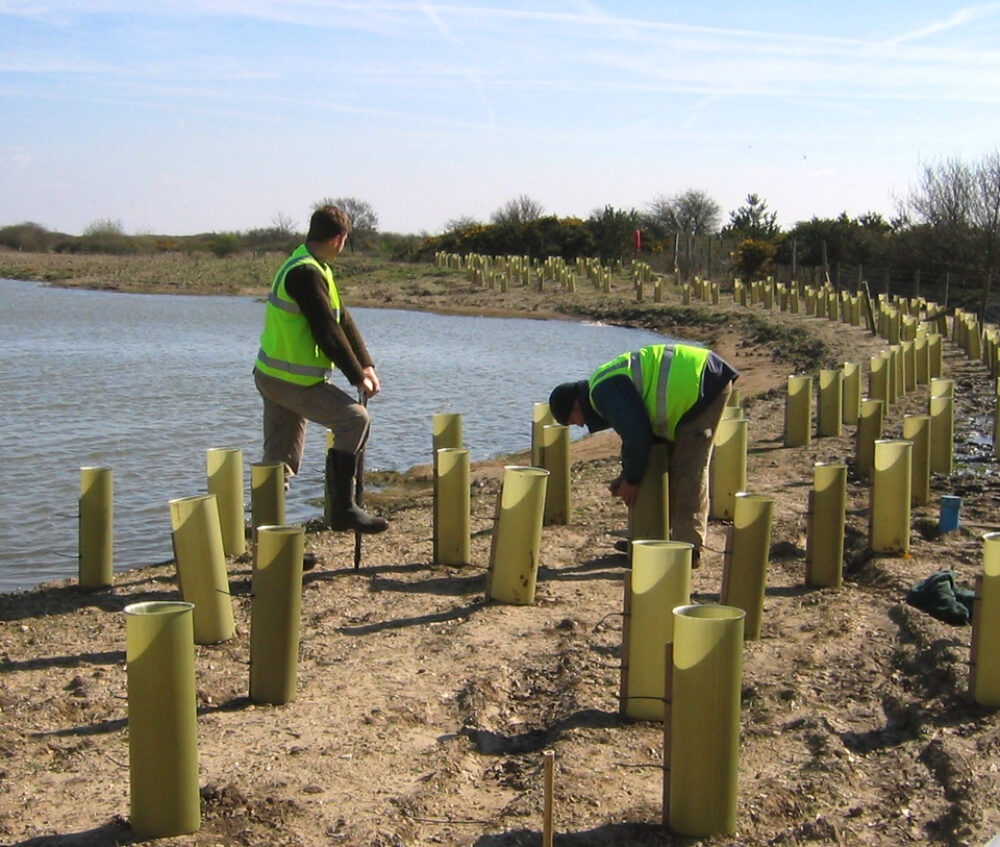 Tree planting as a service