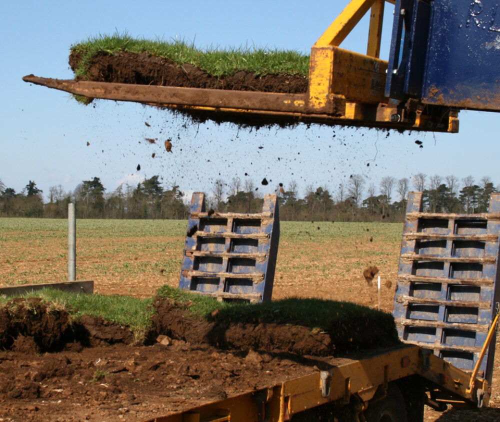 Turf translocation gives land which might have otherwise been destroyed a second chance