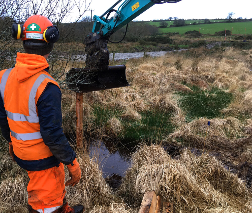 Peatland Restoration close up