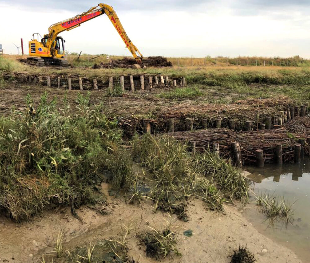 Saltmarsh Restoration project