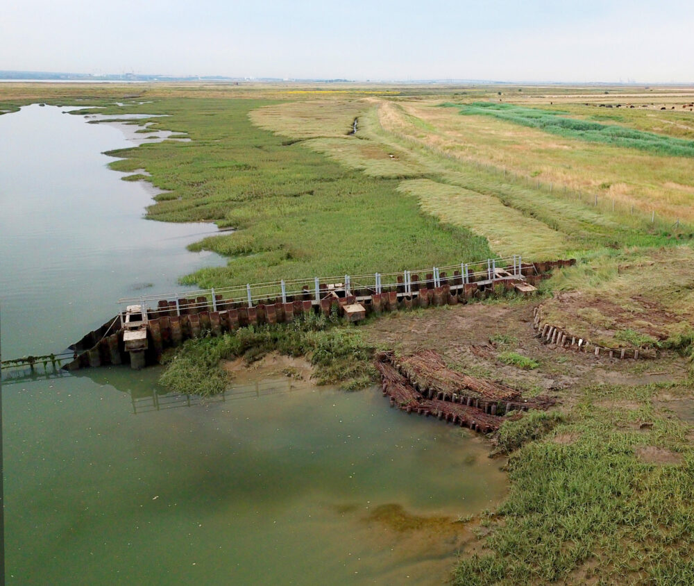 Saltmarsh Restoration View Scaled 1000x844 C 