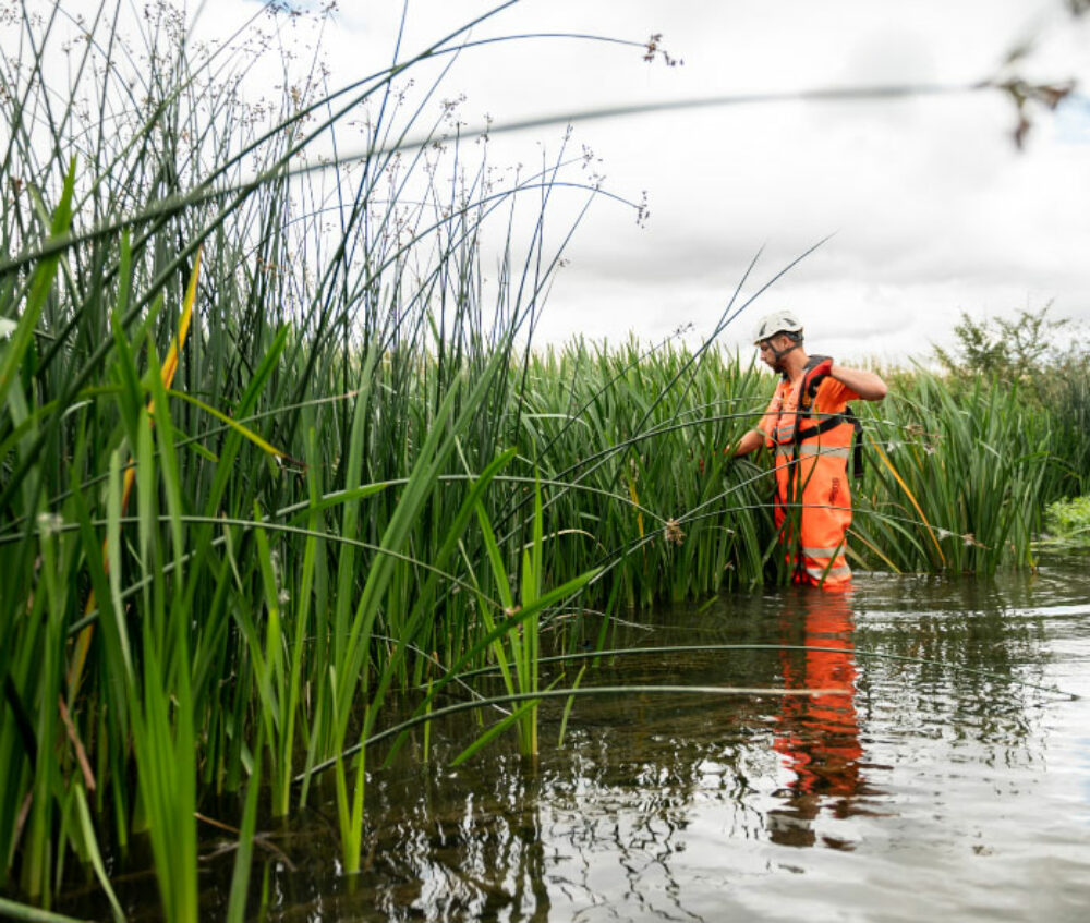 A member of the FiveRivers team delivering a biodiversity net gain solution for a project