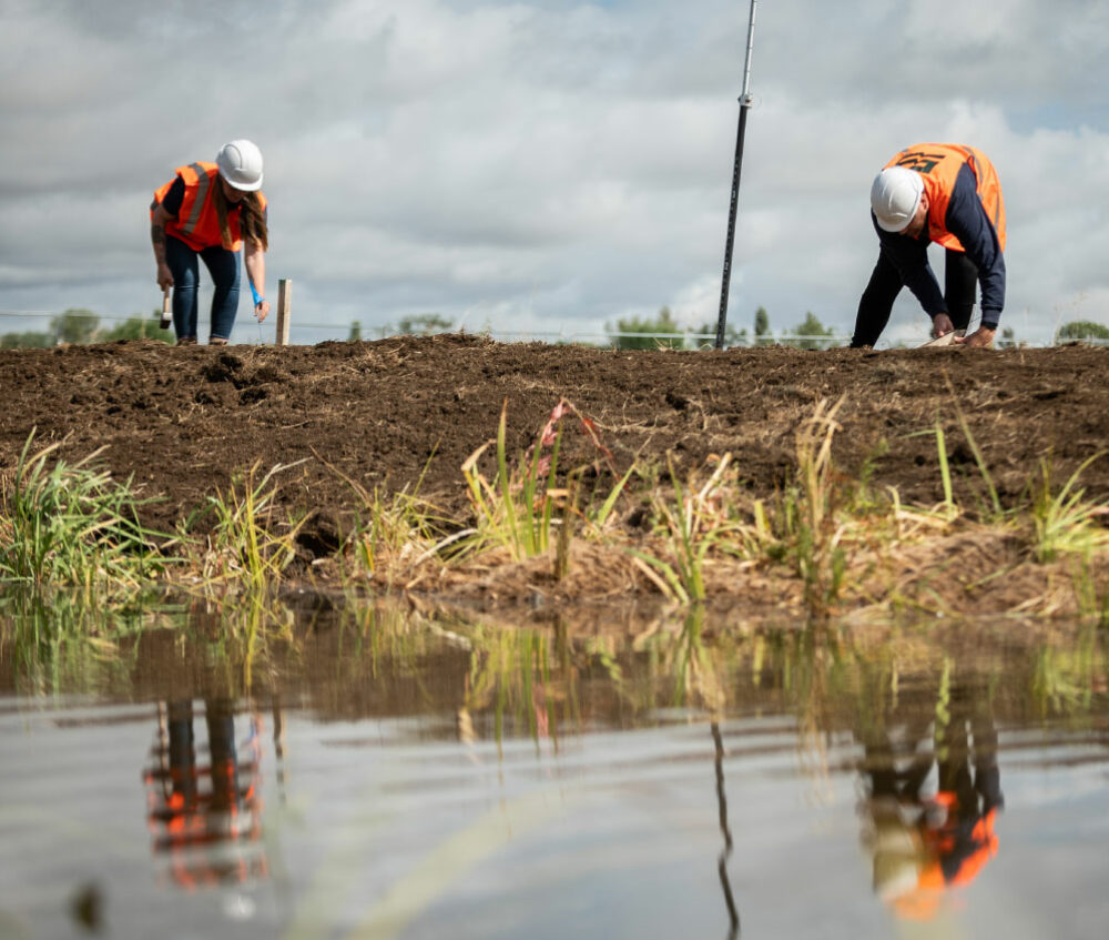 FiveRivers team members working on a wetland restoration project